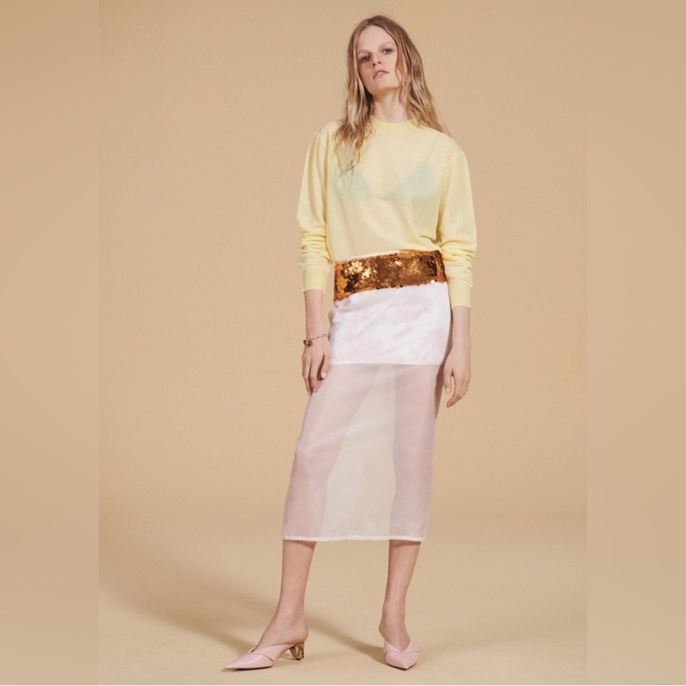 ZARA skirt